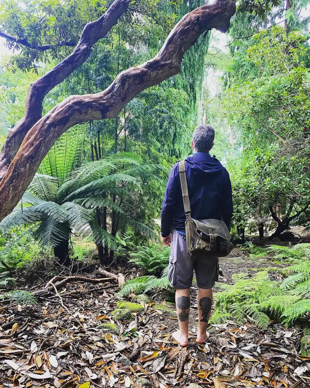 Joseph on a walk in the woods